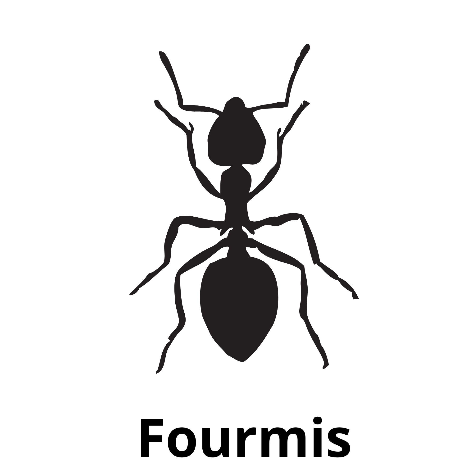 Fourmis